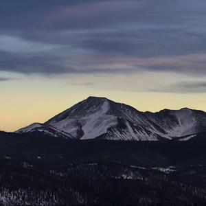 真人实拍女被迫处www
